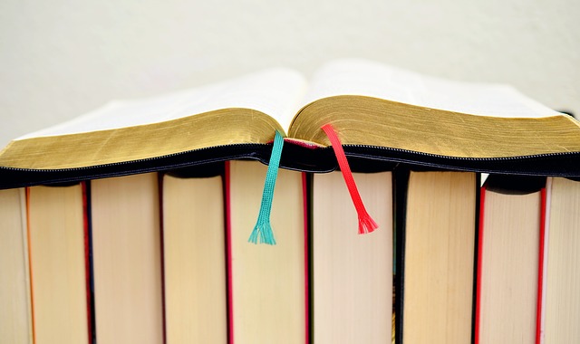 Female authors do better when they self-publish, survey finds